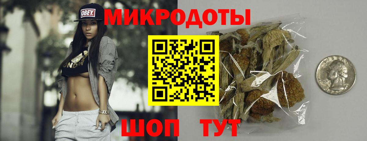 Псилоцибиновые грибы Psilocybine cubensis Мытищи